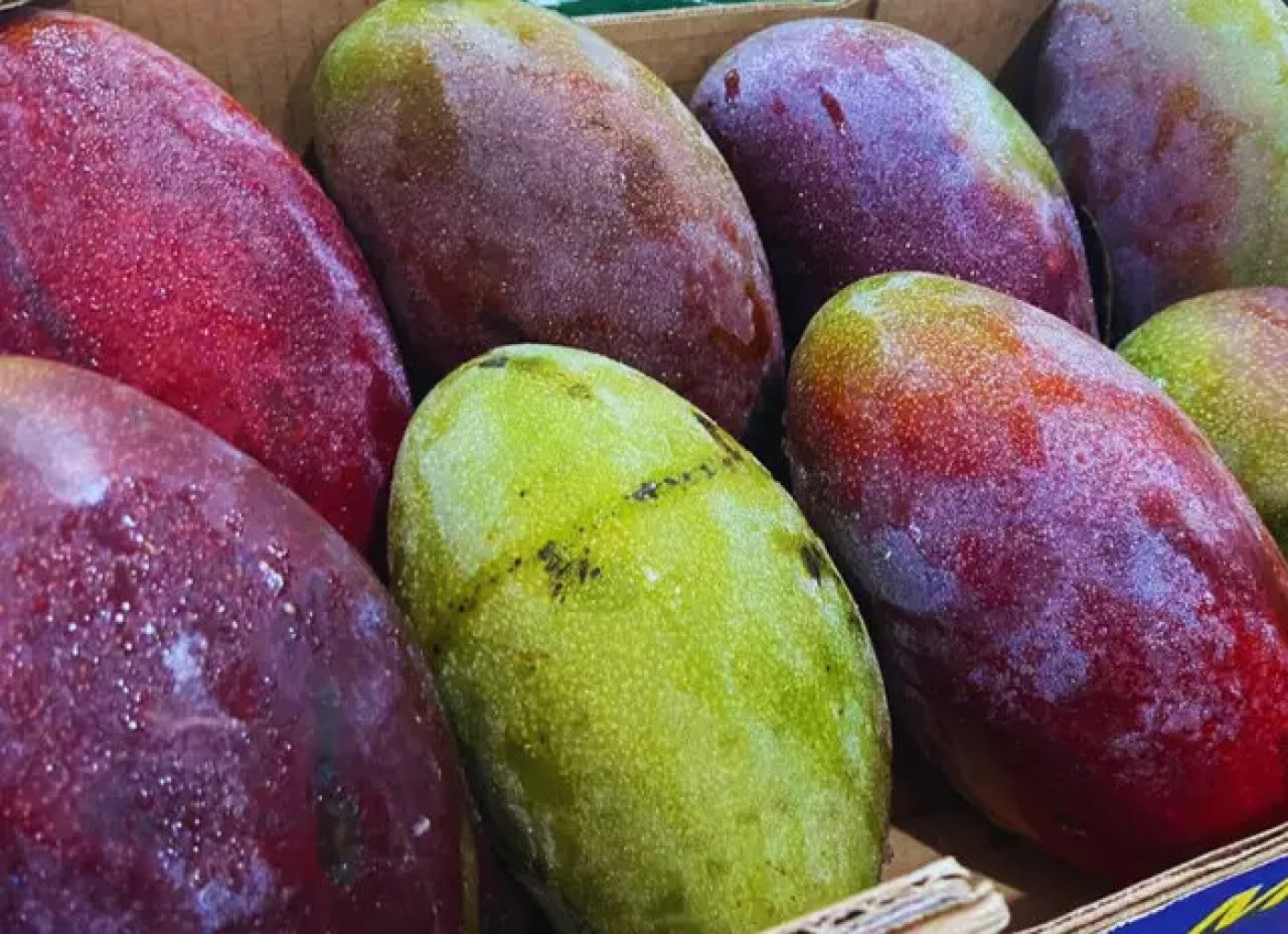 Frutas ficam mais caras e hortaliças registram queda de preços na Ceasa de Mato Grosso do Sul