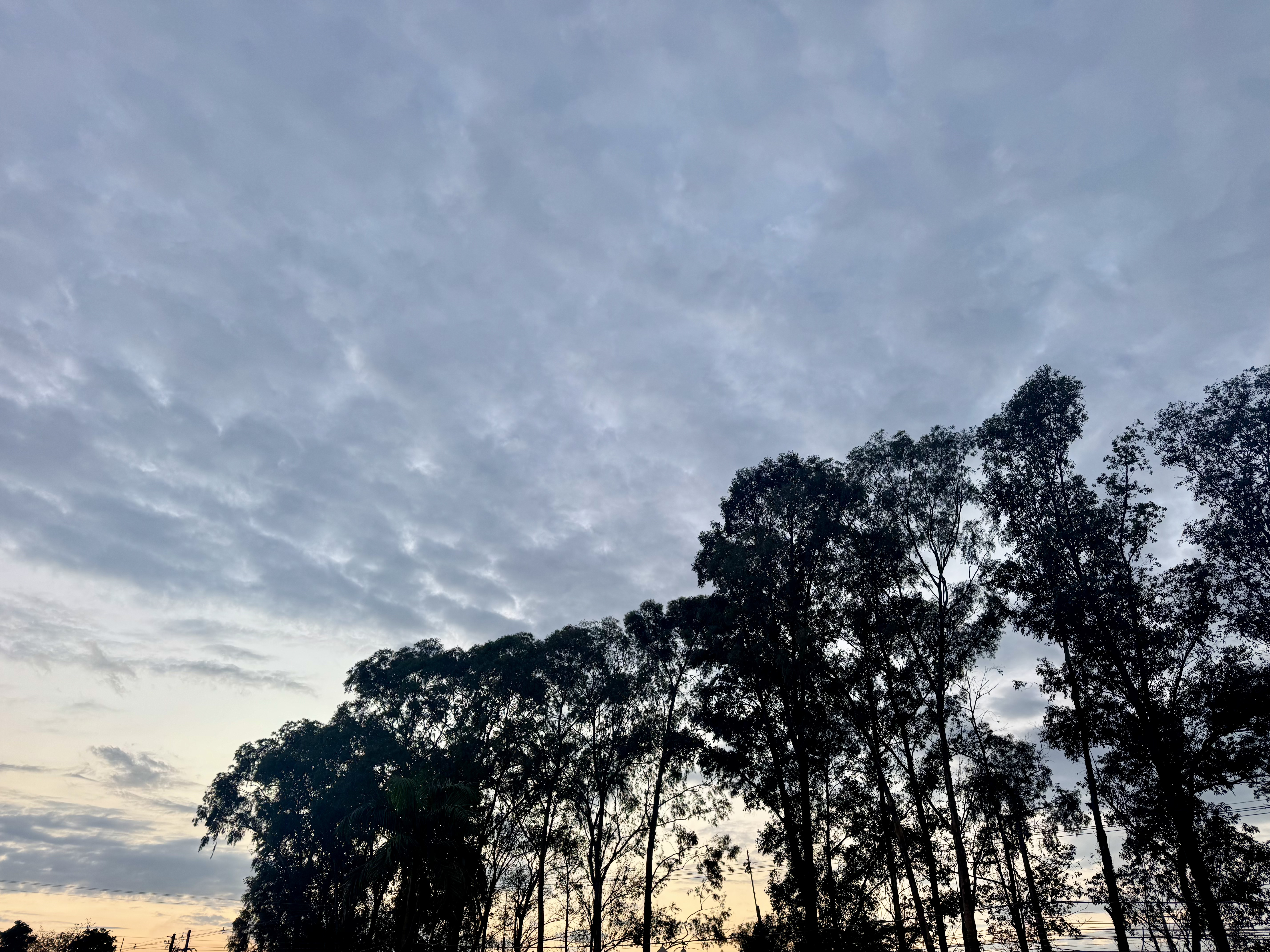 Naviraí terá quinta-feira de sol entre nuvens e temperaturas de até 27°C